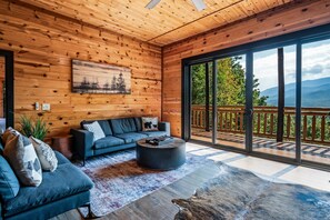 TV, fireplace, video games, books