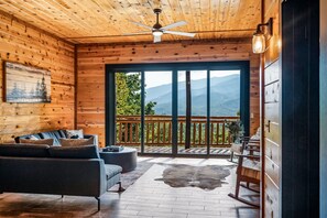 TV, fireplace, video games, books