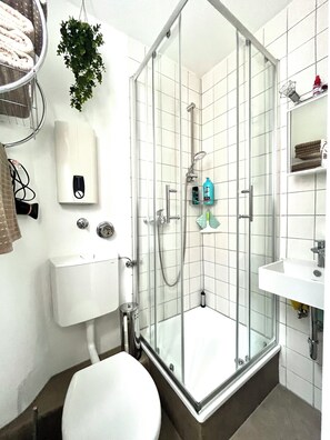 Hair dryer, towels, soap, shampoo