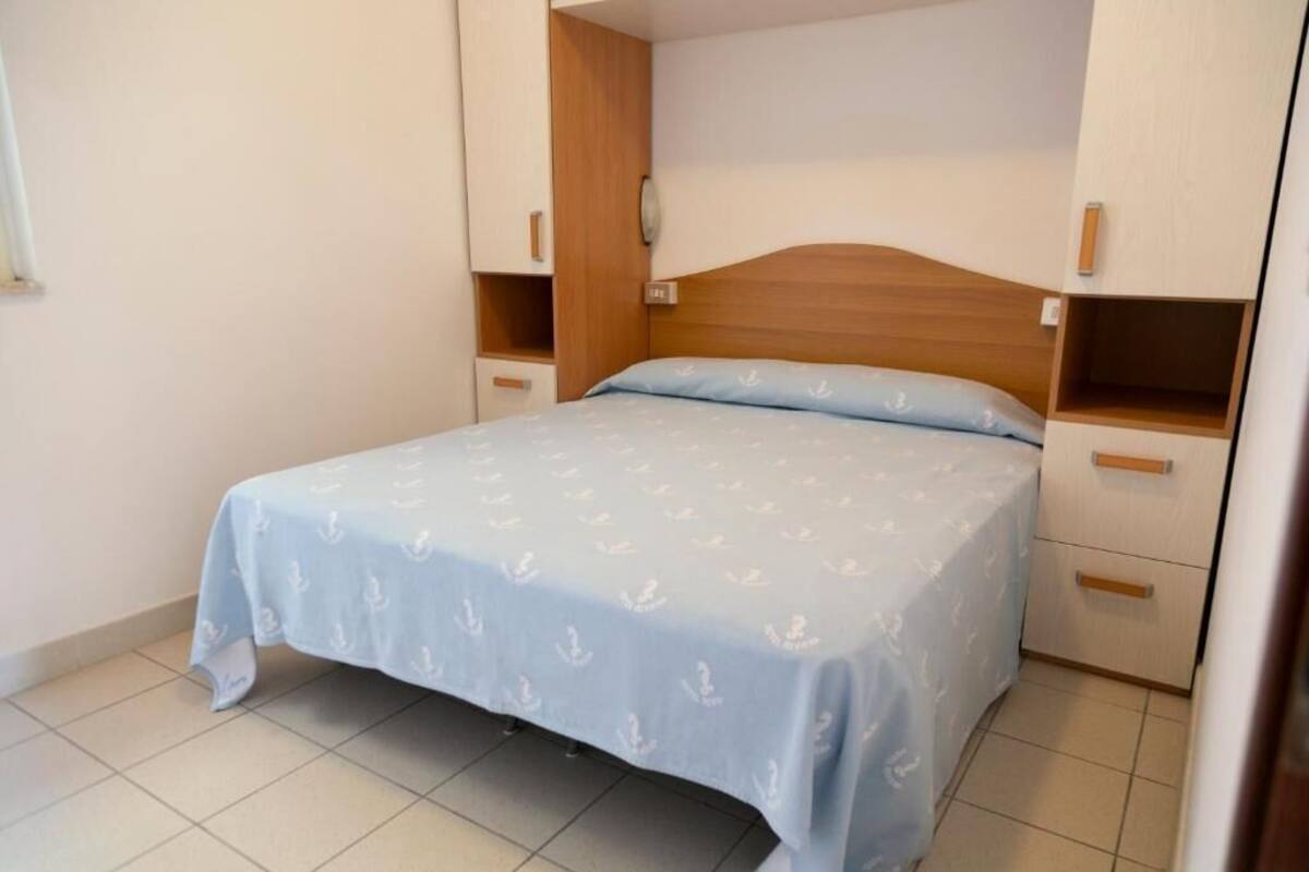 Basic Apartment