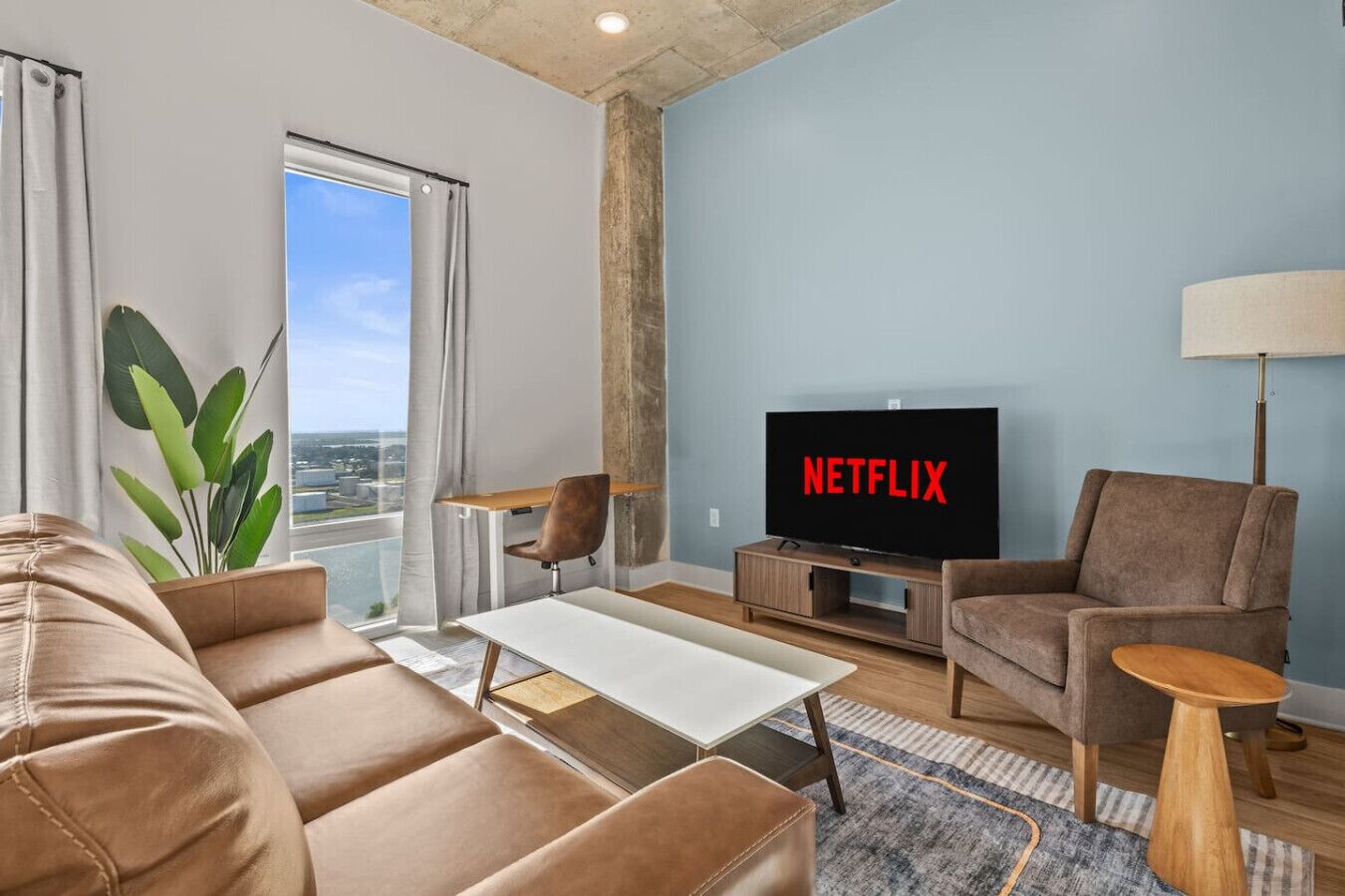 TV