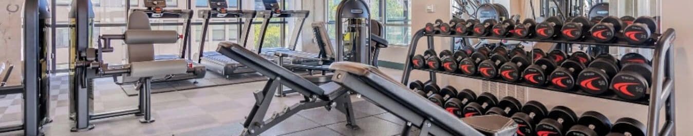 A gym with treadmills, weight machines, and a rack of dumbbells.