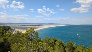 Een kustlandschap met een strand, bomen en een heldere lucht.
