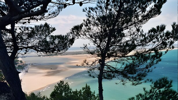 A coastal landscape with trees, a beach, and a distant shoreline. - Holiday Home 'La Capelle 4 Persons 880' with Shared Pool, Wi-Fi and Air Conditioning (Roquefort-des-Corbières)