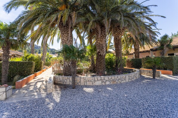 A landscaped area with palm trees, a gravel path, and a stone wall.