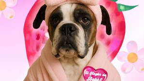 A dog in a pink robe holding a mug with a heart design.