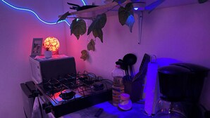 A kitchen with a gas stove, a coffee maker, and a hanging plant.