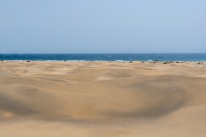 Playa en los alrededores 