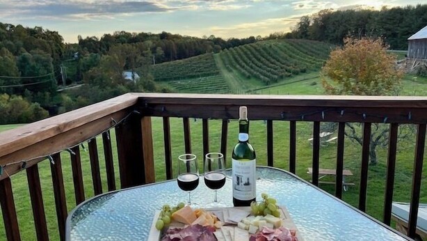 A glass table with a charcuterie board, wine glasses, and a bottle on a balcony with a vineyard view.