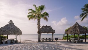 A beach with thatched-roof huts, palm trees, and a sandy shore. - Beautiful two- story beach house (Islamorada)