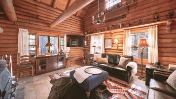 Télévision, cheminée, espaces bureaux