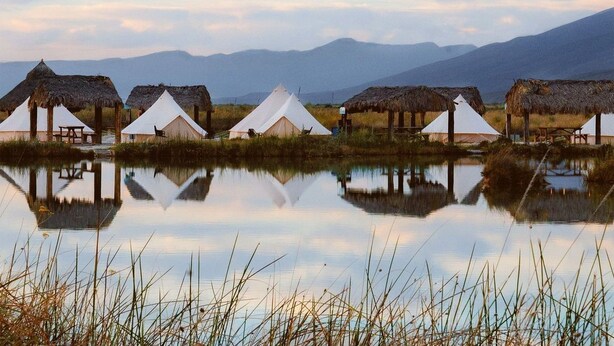 A series of thatched-roof tents and white tents by a calm body of water with mountains in the background. - ENDEMICA GLAMP RESORT (Cuatro Cienegas)