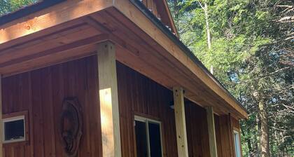 3BR Lacona Cabin: AC, Trails Access, Family + Pet-Friendly