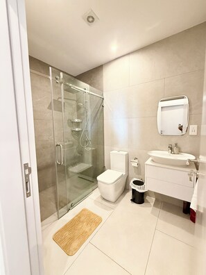 Shower, bidet, towels, soap