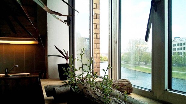 A kitchen with a large window, a sink, and a plant on the windowsill. - Spacious 140 m² loft - perfect for families & friends! (Berlin)