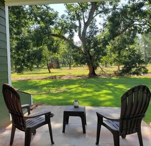 Terrace/patio - Peaceful Guest House Leesburg (Albany)