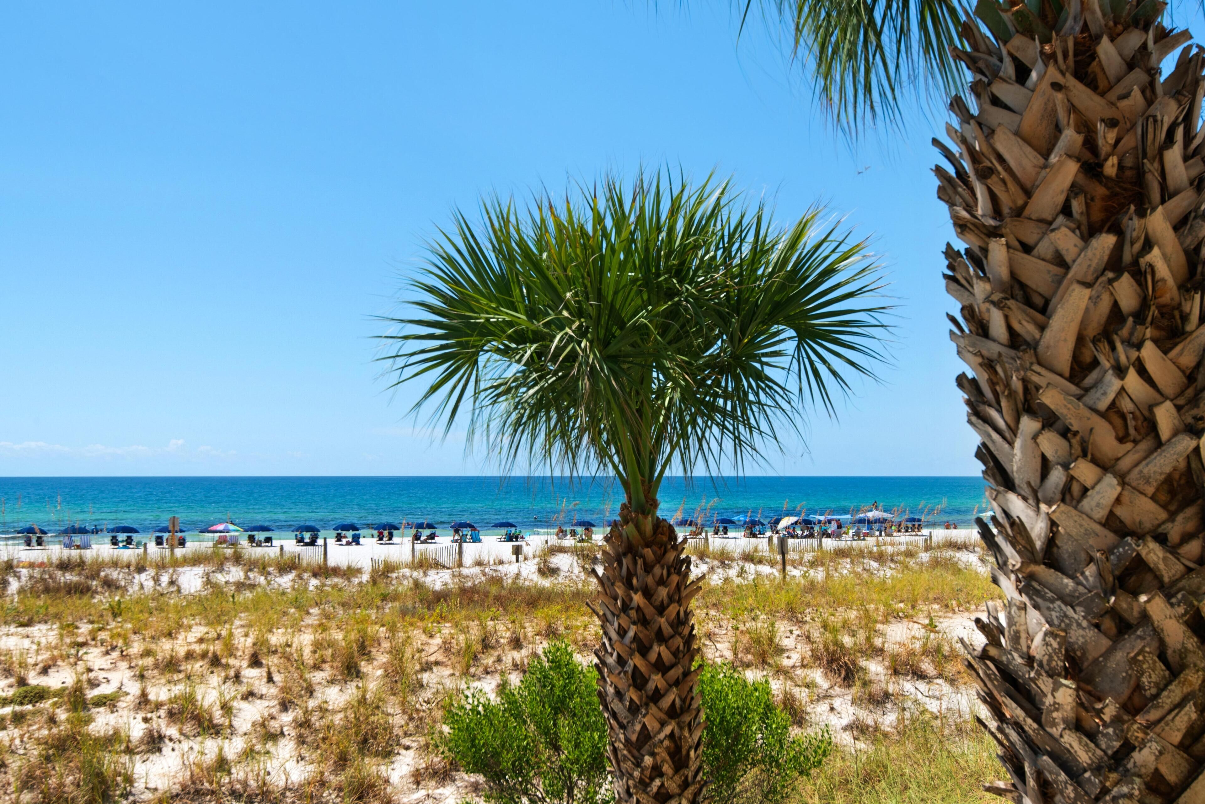 Condo, 1 Queen Bed with Sofa bed (Pelican Isle 107) | Beach | On the beach