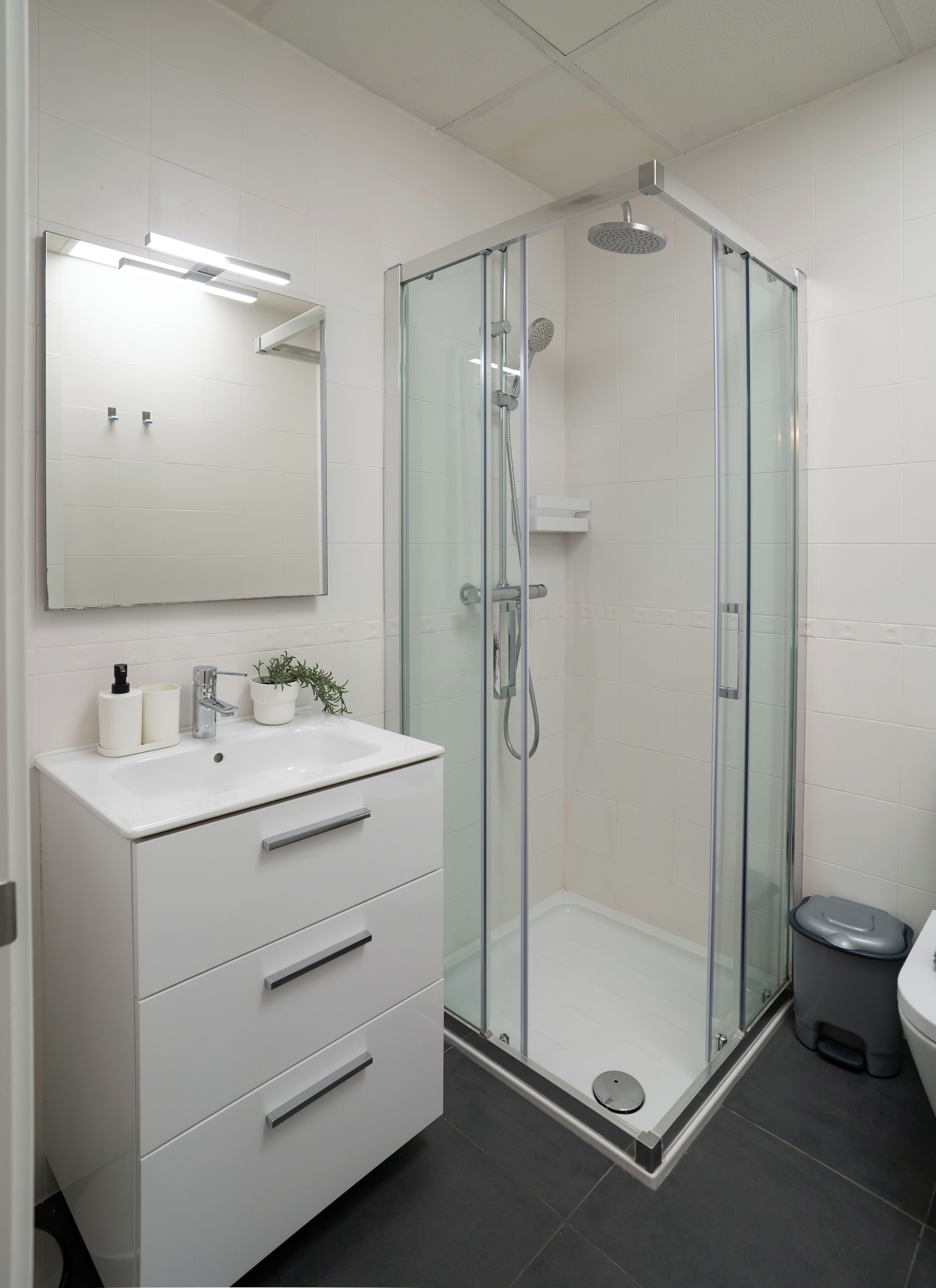 A modern bathroom with a glass-enclosed shower, a white vanity with drawers, a mirror, and a small potted plant.