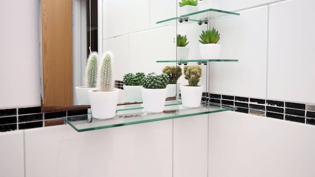 Une salle de bain aux carreaux blancs, une étagère en verre où sont posées des plantes en pot et une porte en bois.