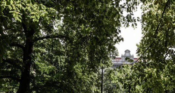 Overnatningsstedets område