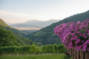 Property grounds - Langegger 1956, Quiet, cozy vacation apartment, 10 minutes by car from Bolzano (Trentino-Alto Adige)