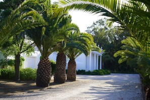 Property grounds - Iconic Luxury Villa, an Architectural gem and haven of Tranquility (Alvor)