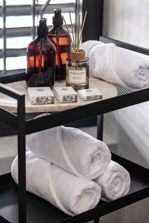 Regadera, secadora de cabello, shampoo 