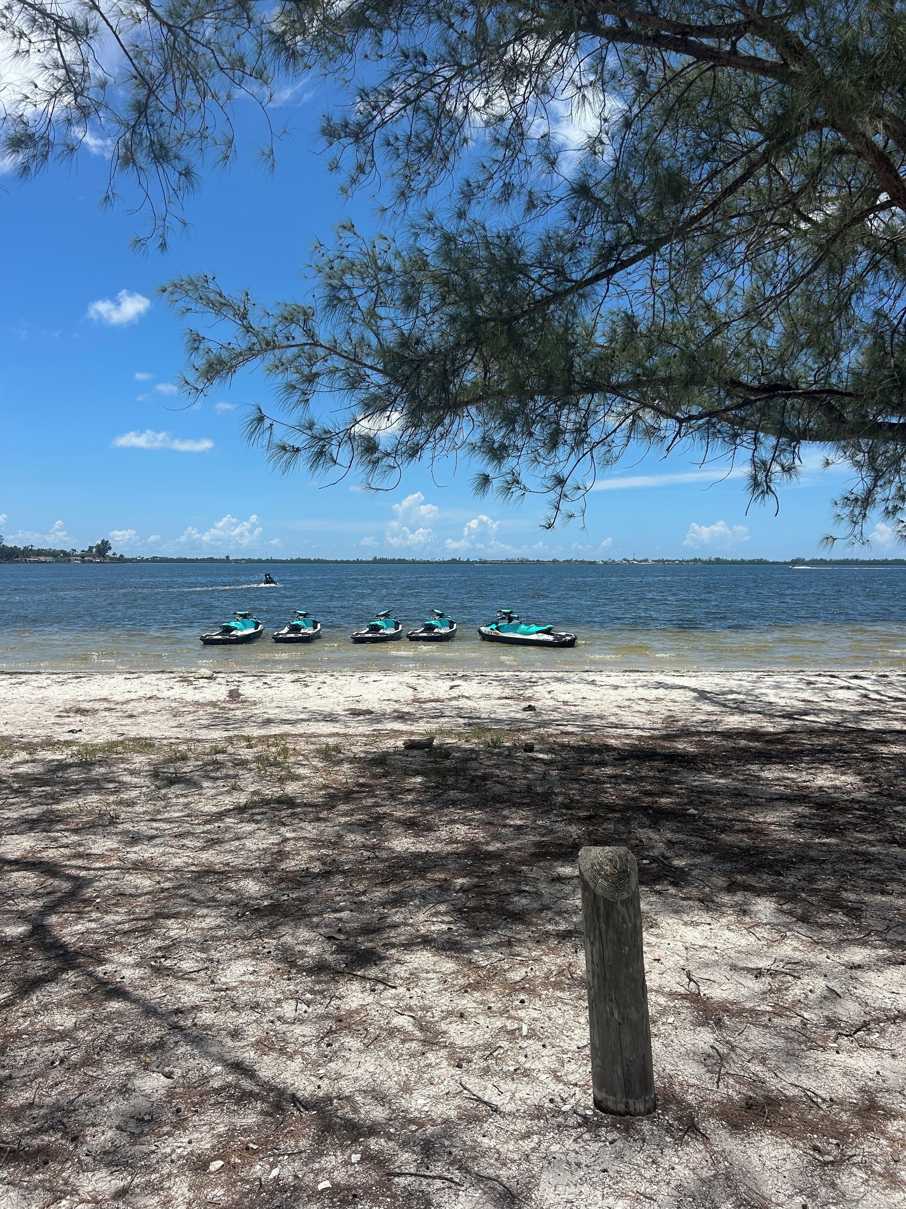 Playa en los alrededores, camastros y toallas de playa 