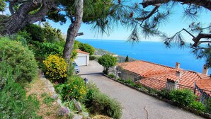 Una carretera costera con un camino de piedra, pinos y vistas al mar.