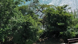 Ein rechteckiger Swimmingpool mit einer Fliesenleiste, umgeben von viel Grün, mit Blick auf ein Gewässer unter klarem Himmel.