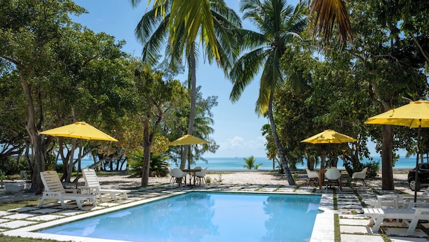 A pool area with lounge chairs and umbrellas, surrounded by palm trees and a view of the beach. - Laughing Bird Suites (Governor's Harbour)