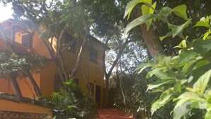 A pathway leading to a yellow building surrounded by lush greenery. - A Casa do Pablo (Buzios)