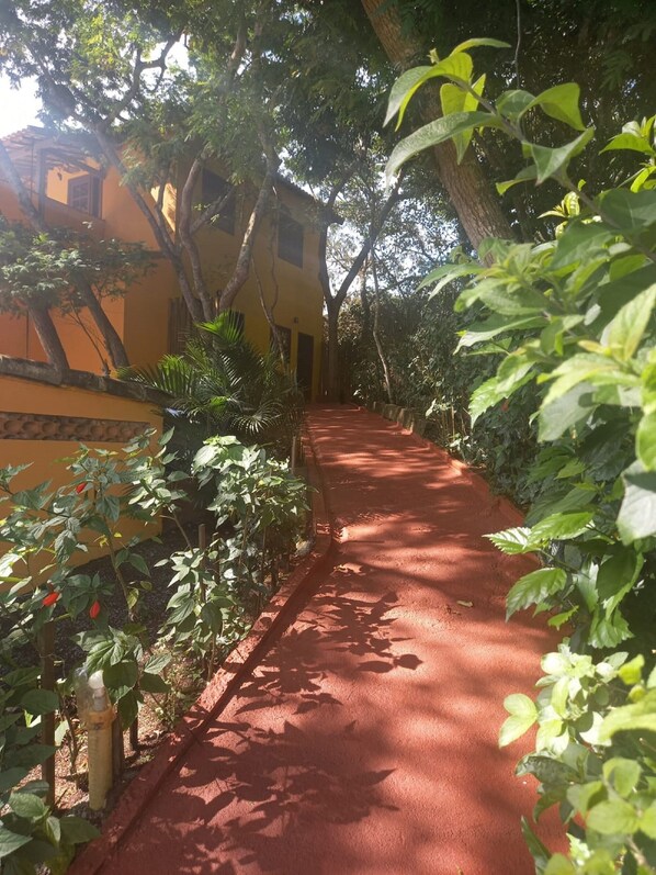 Jardín