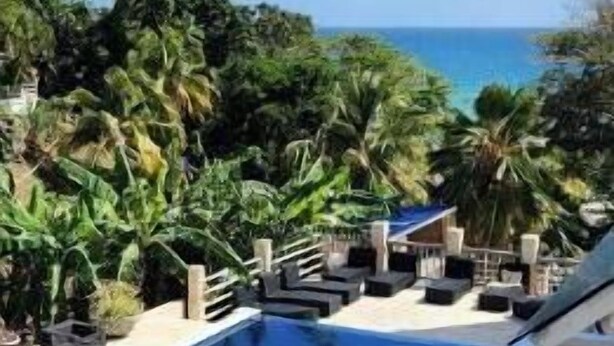 Une piscine rectangulaire bordée de chaises longues et d’ombrelles, entourée d’une végétation tropicale et surplombée d’un ciel dégagé.