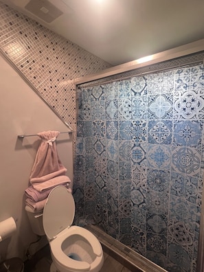 Douche, séchoir à cheveux, serviettes fournies, savon