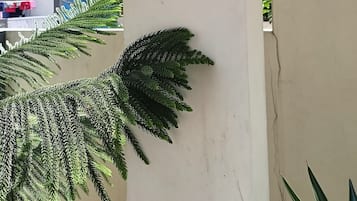 Detalle exterior