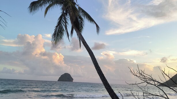 A beach scene with a palm tree, ocean waves, and a distant island. - Charming T3 apartment in Le Diamant (Le Diamant)