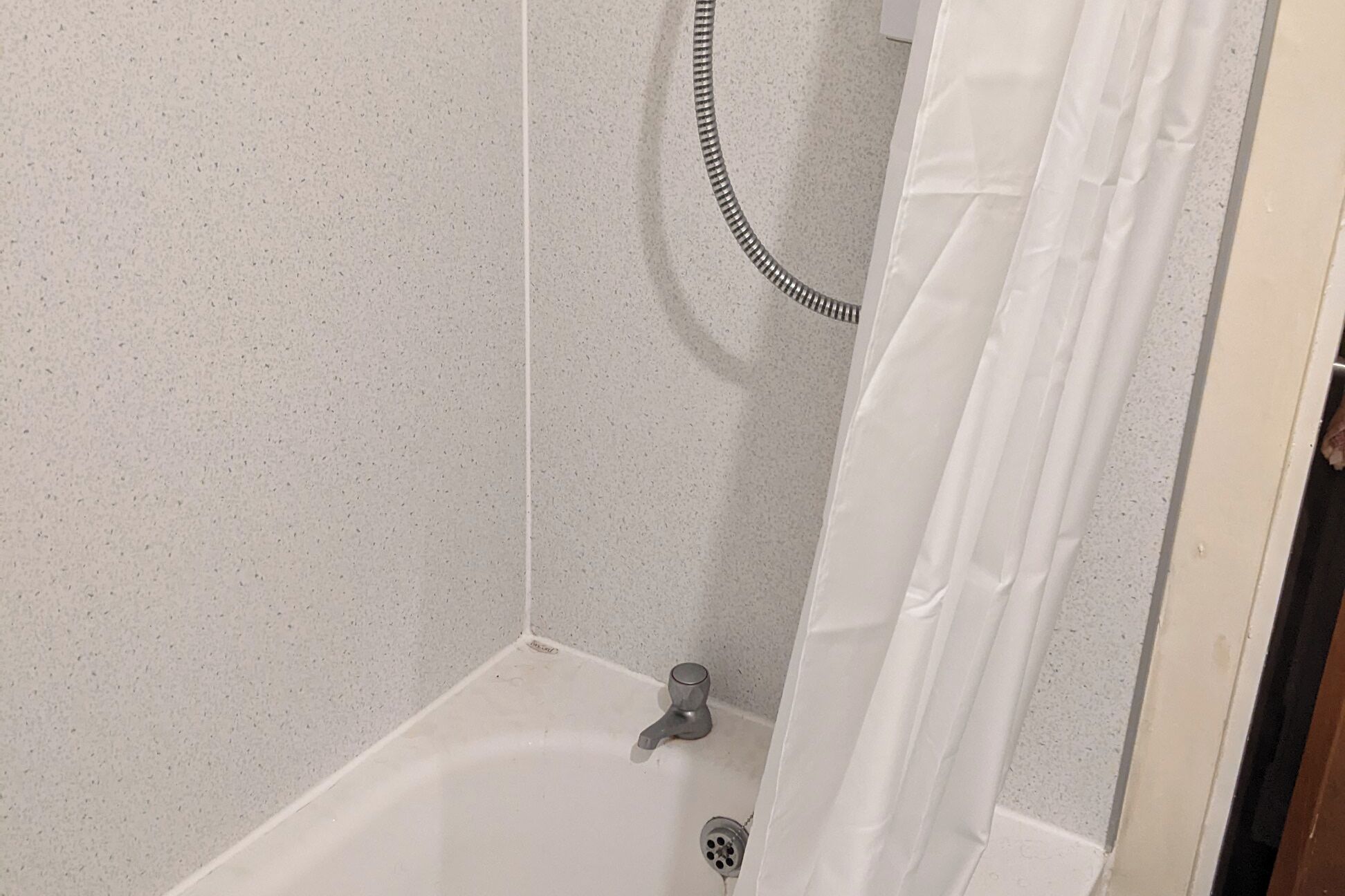 Shower, towels, toilet paper