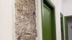Ein Flur mit einer Wand aus strukturiertem Stein und grünen Türen.