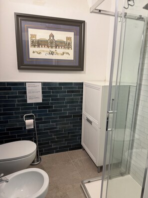 Shower, hair dryer, bidet, towels