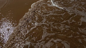A beach with wet sand and gentle waves. - Tatu Do Bem Hospedagem (Serra)