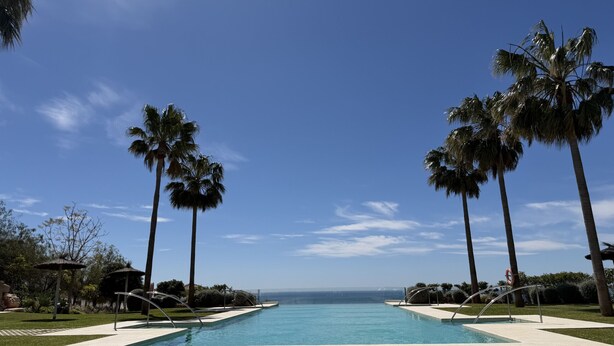 A swimming pool with palm trees and a clear sky.