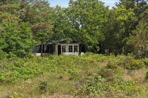 Une petite cabane entourée d’une végétation luxuriante.