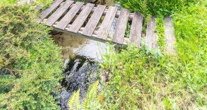 LA SOURCE - SAINT PIERRE D'ENTREMONT