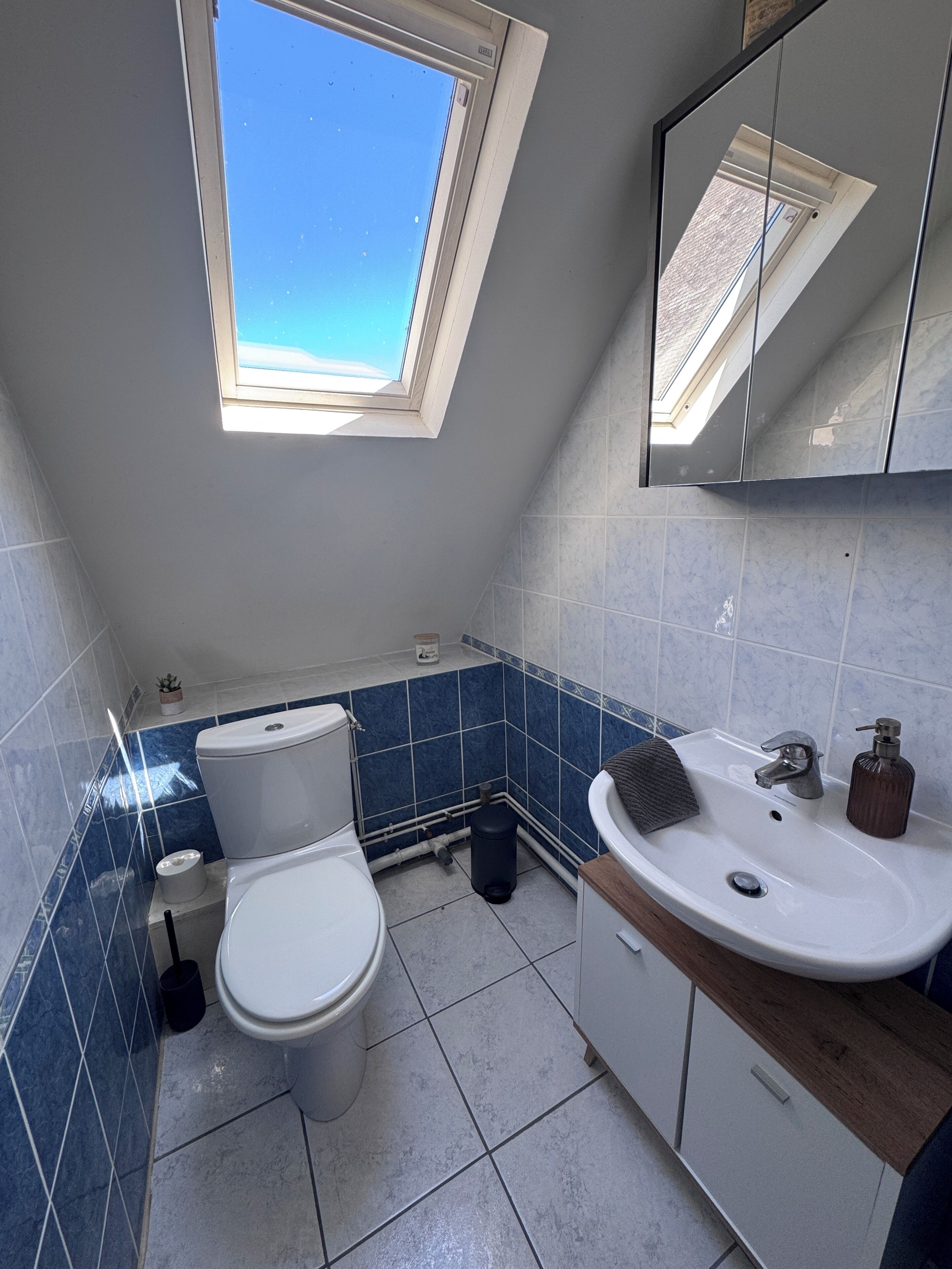 Une salle de bain avec un puits de lumière, des toilettes, un lavabo et un miroir.