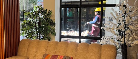 A modern living room with a sofa, pillows, a plant, and a window with a view of the street.