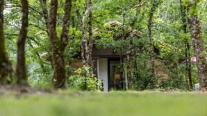 A secluded cabin surrounded by dense forest, with a visible door and a small porch area. - Gîte du Caché - LABRIT - Gîte (LABRIT)