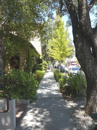 Stay In The Heart of Downtown