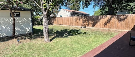 Terrasse/patio