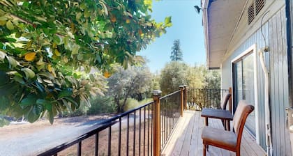 Spacious 4-BR Retreat in Auburn w/ AC & King Bed